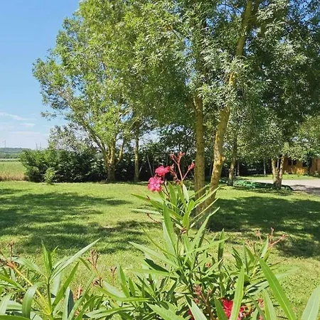 Domaine De La Fee De L'eau - Les Fees *