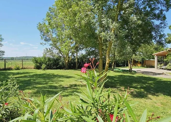 Domaine De La Fee De L'eau - Les Fees *